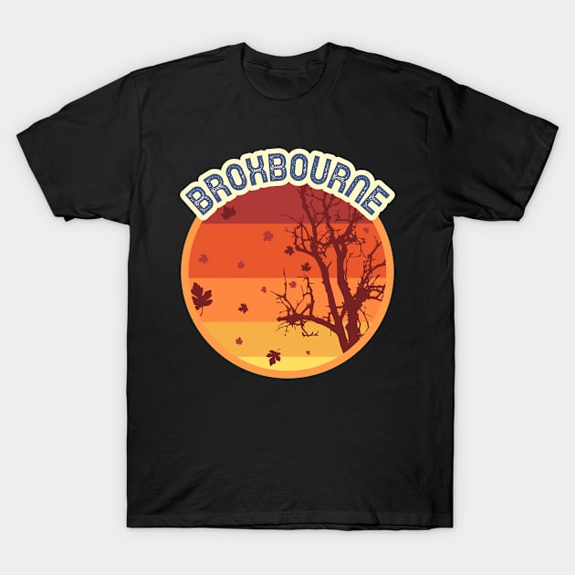 Broxbourne Leaves Falling Autumn and Fall Amber Autumn, Best gift for September October and November, leaf falling T-Shirt by AbsurdStore